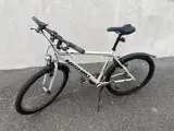 Nishiki reno