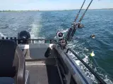 Fiskebåd/motorbåd - 4