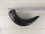 Flot horn - 2