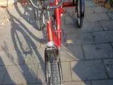 Handicap cykel 
