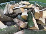 Brænde af løvtræ eller nåletræ - 3