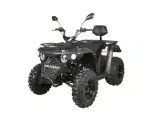Linhai ATV M210 T3A, inkl. klargøring - 2