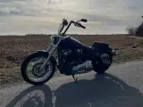 Harley Davidson softail Feb 2022