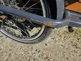 El ladcykel  til transport af børn - 3