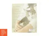 Kattens pasning - Hold din kat sund og glad - 2