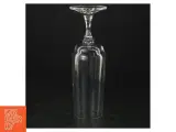 Champagneglas  (3 stk) (str. 16,5 cm) - 2