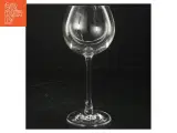 Leonardo hvidvinsglas fra Leonardo (str. H. 20 cm. ø. 10 cm) - 3