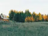 Ødegård - Sverige Natur Jagt Fiske  - 4