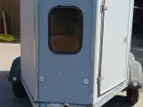 Hestetrailer - 2