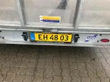 Ifor Williams LM167BT høj Rampe som ny - 3
