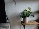 Lampe fra Trademark living 