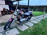 Virago 250 Yamaha  - 3