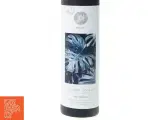 ny Plakat monstera fra Nordic Design (str. 50 x 70 cm) - 2