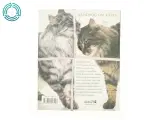 Håndbog om katte (ialt 3 bøger) - 2