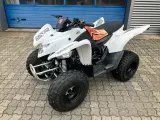 AEON Cobra 100 S (XL !)