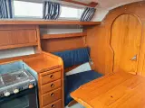 Maxi Fenix Classic  - 5