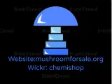 malabar magic mushrooms for sale