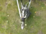 Leje af 750kg Netside trailer weekend - 3