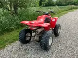 Honda 250cc ATV - 2