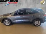 Ford Kuga 1,5 EcoBlue Titanium aut. Van - 2