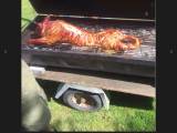 Pattegris grill