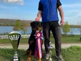Rottweiler hvalpe - 3