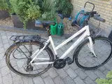 Cykel.sco platinum  - 2