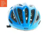 Blå cykelhjelm fra Abus (str. 58-62 cm) - 3