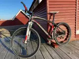 Specialized stumpjumper