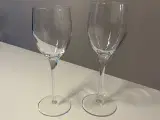 Stendal vin glas