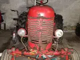 Massey Harris Ferguson Tracteur Pony SÆLGES MOMSFRI - 3