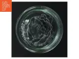 WECK glas opbevaringskrukke med låg fra Weck (str. Ø. 11 cm. 10,5 cm) - 4