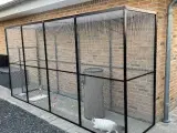 alle typer volierer kat eller fugl - 3