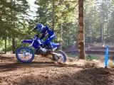 Yamaha YZ 85 LW - 3
