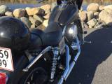 Harley Davidson