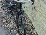 Cykel Excelsoir Gaudy