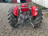 Massey ferguson 35 benzin - 4