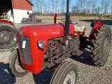 Massey Ferguson  35   3 cyl Diesel   Traktor - 2
