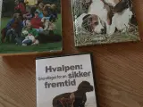 Hundebøger + DVD om hvalpe