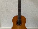 Guitar med tilbehør 