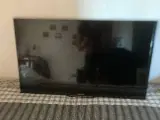 Fjernsyn