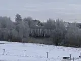 Næsten all invlusive - 3