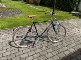 Raleigh Yate Cargo