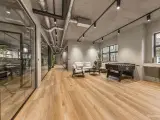 Kontorlejemål på 649 m² - 3