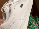 Lacoste sneakers