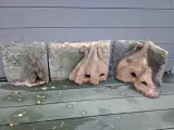 3D baggrund 