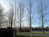 2 stk. flagstang 10 meter i glasfiber
