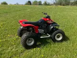 Honda TRX300EX - 5