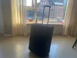 Stor kuffert (udlejes) - 4