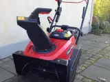 Sneslynge
